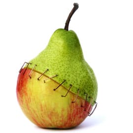 pear and apple stitched together