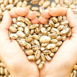 person holding beans