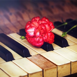 piano with carnation on top