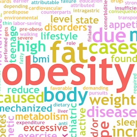 graphic with obesity fat metabolism and other weight loss words