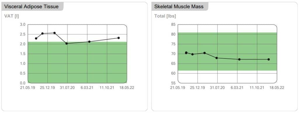 visceral fat skeletal muscle