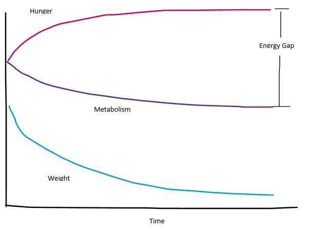 graph showing energy gap opposing weight loss