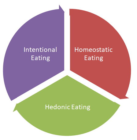 hedonic, intentional, homeostatic eating