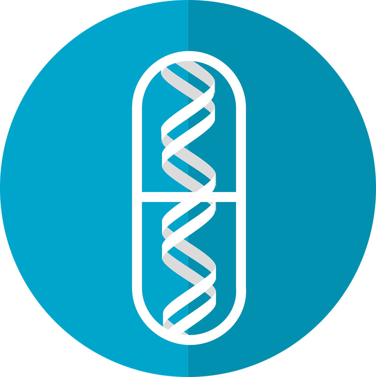 weight loss medication picture